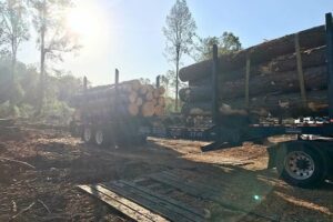 Customer-Photo-_0009_Thornton-Logging