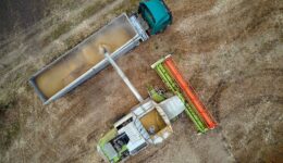 Types of Agricultural Trailers Aerial View of Harvester and Grain Cargo Trailer