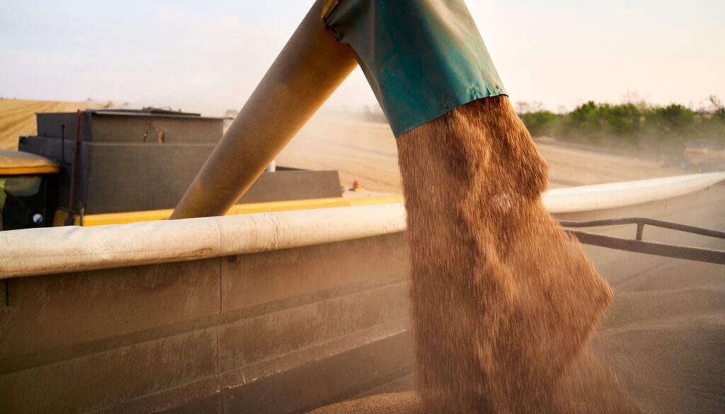 Grain Being Loaded What Is a Live Floor Trailer